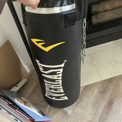 Everlast 40LB Heavy Bag