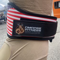 Dmoose Fitness Belt Back Support