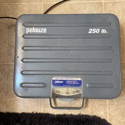 Scale