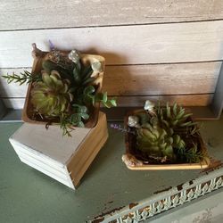 Succulent Decor