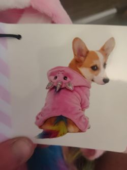 Unicorn pet apparel