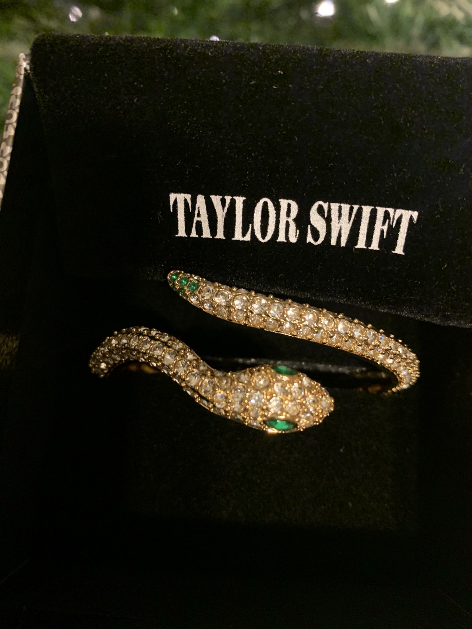 Taylor Swift Reputation Snake Bracelet