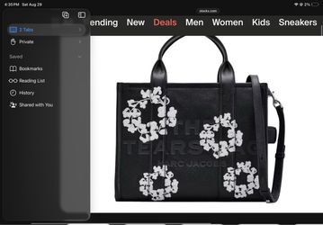 Denim tears purse