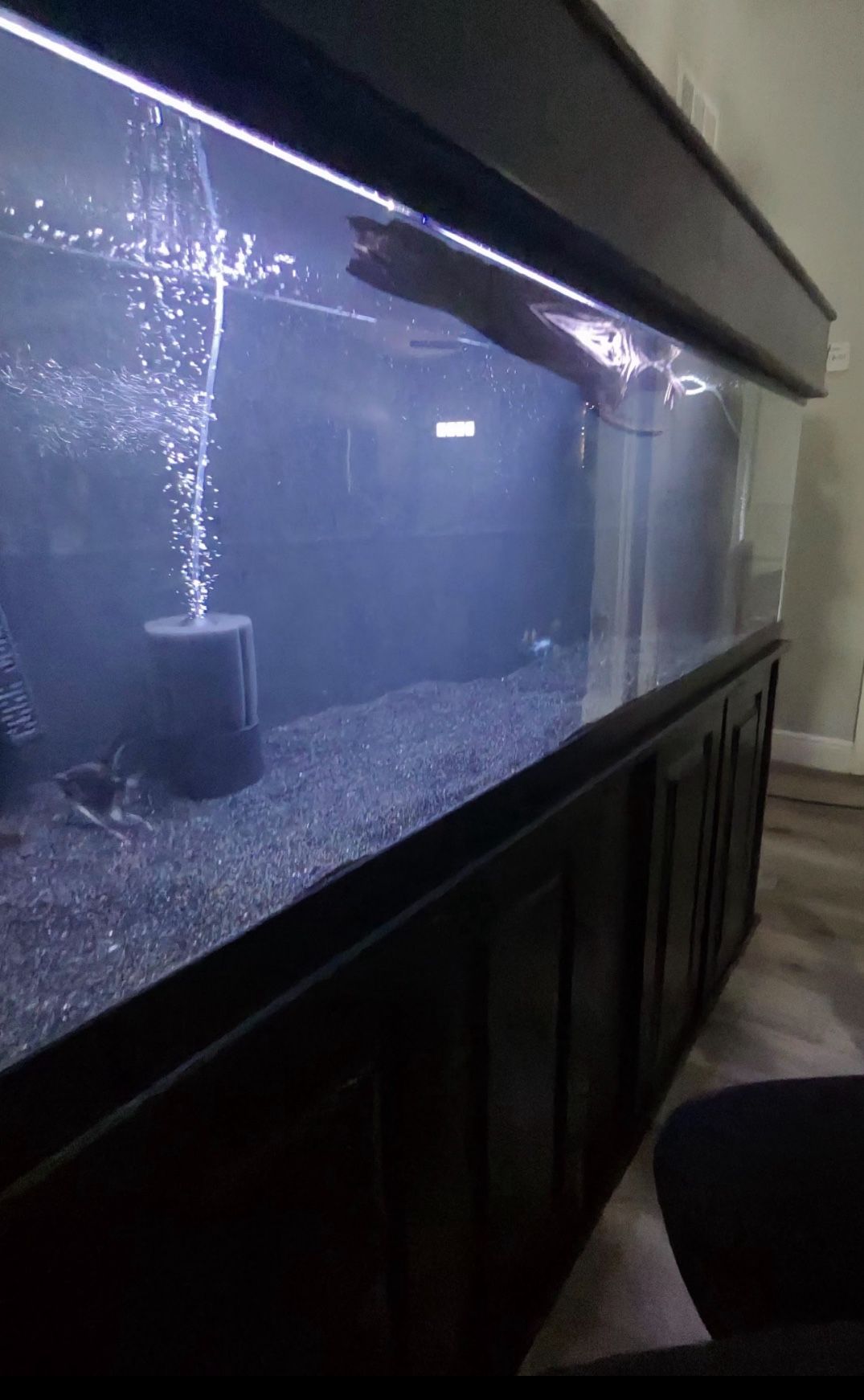 125 Gallon Fish Tank 