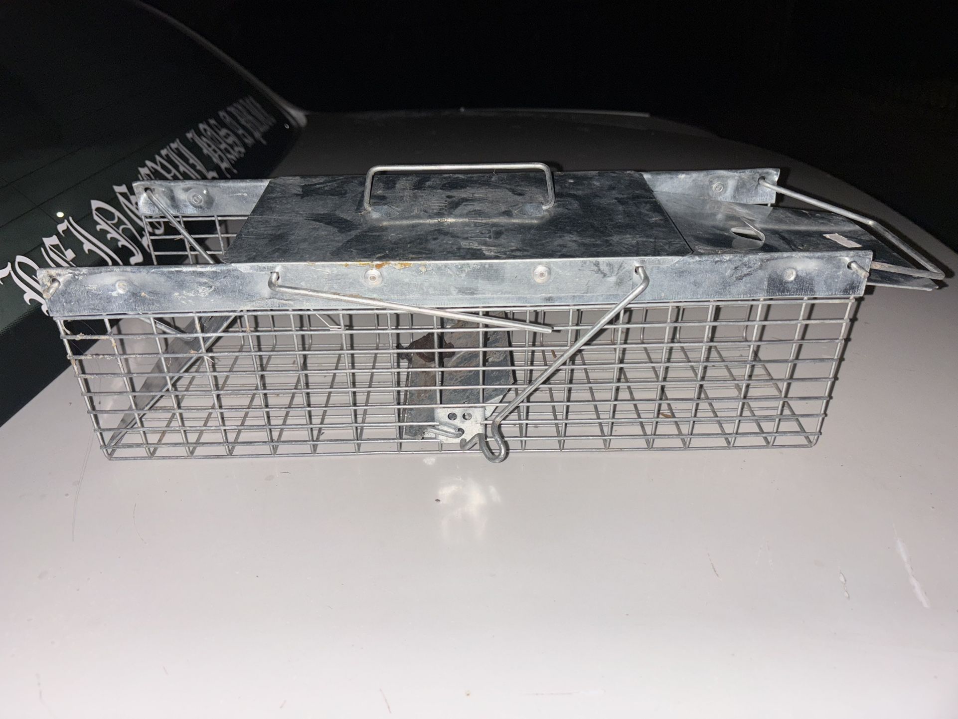 Animal Trap