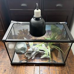 10 Gallon Complete Setup 
