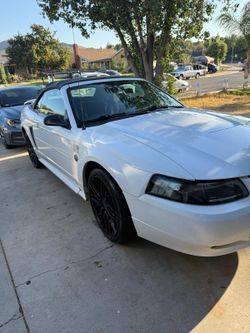 Ford Mustang Convertible White