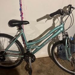 Schwinn Mountain Bike