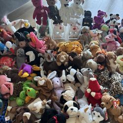 Huge Beanie Baby collection 