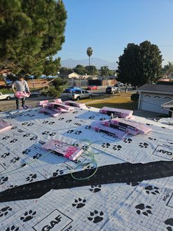 Shingles Roofing