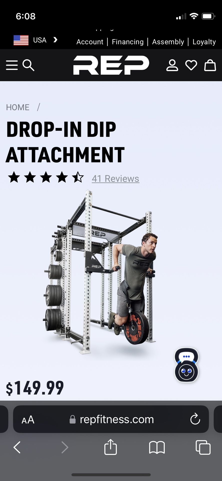 Rep Fitness - DROP-IN DIP ATTACHMENT