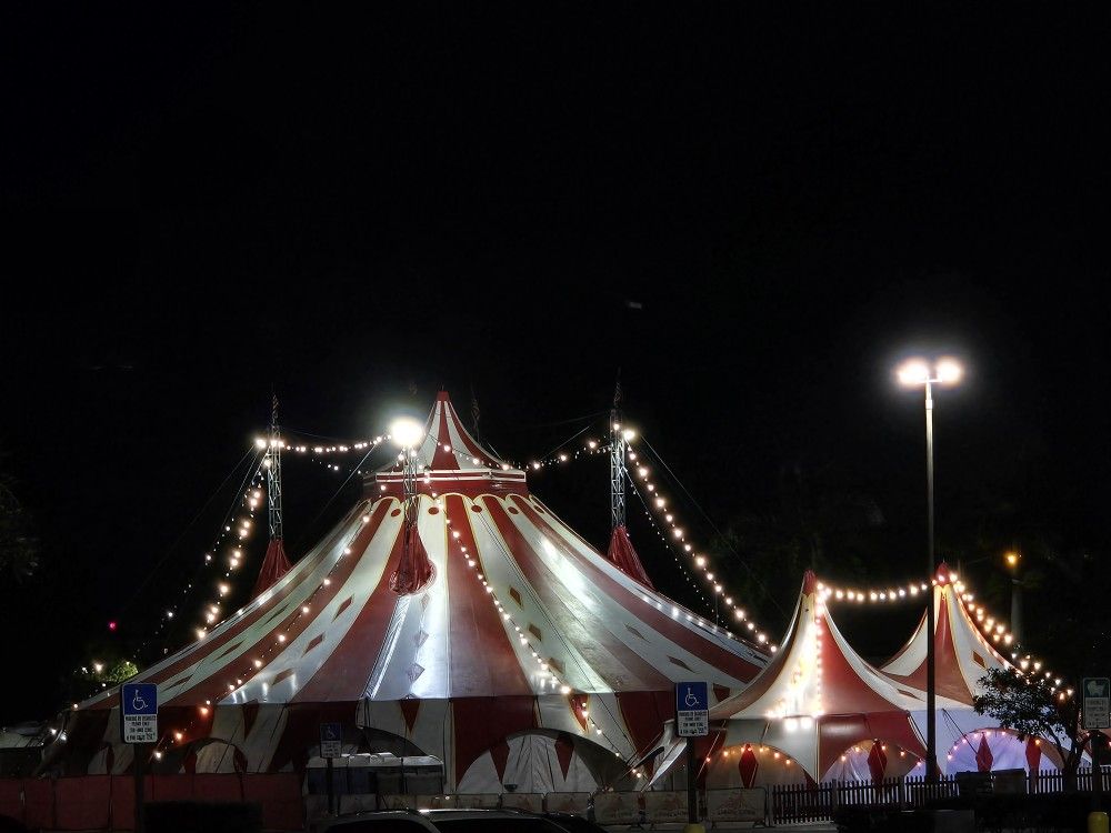 Circus Lena In Hialeah