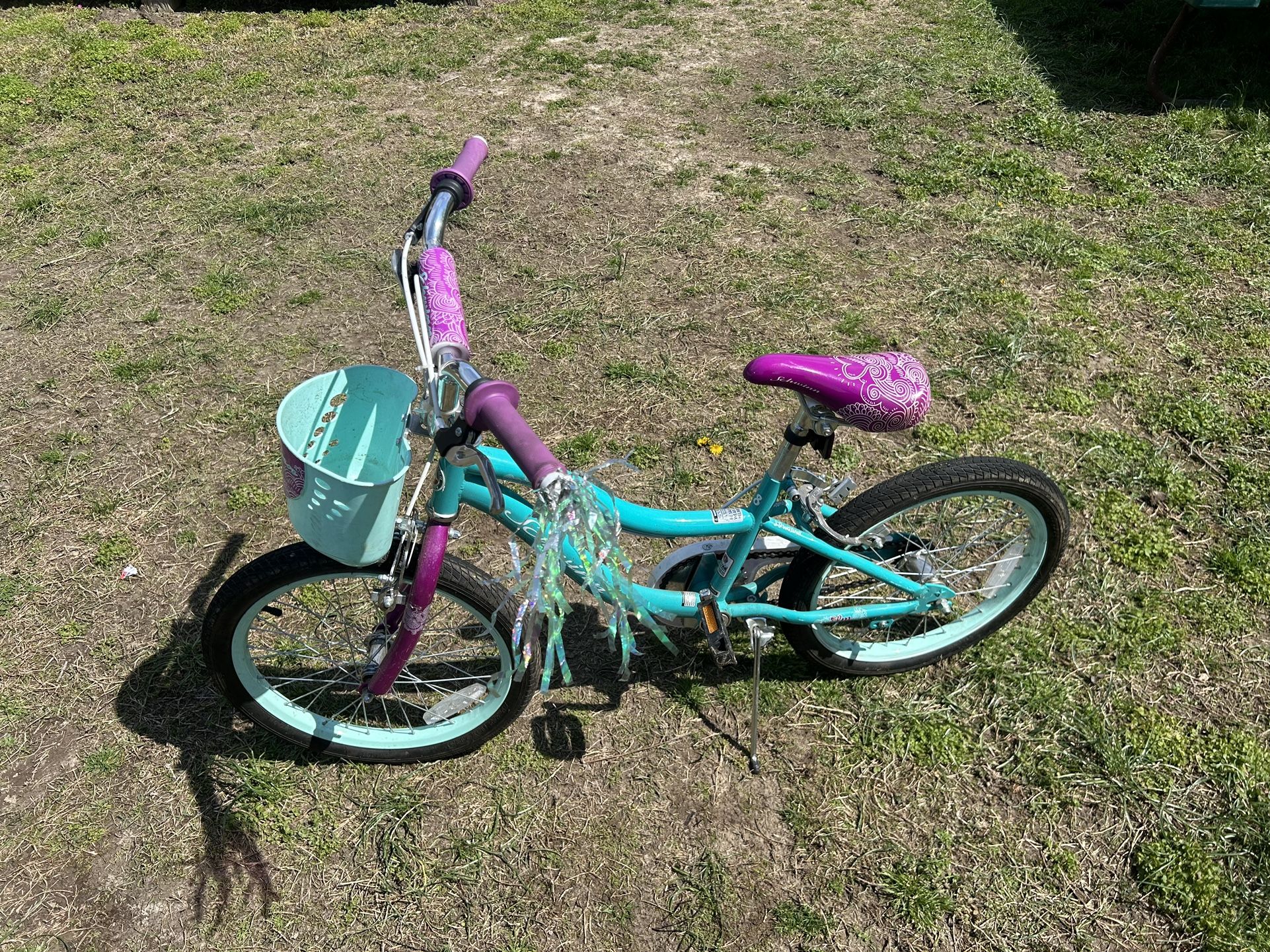 Schwinn Girls 18 bike 