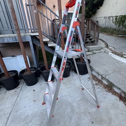 Little Giant Ladders