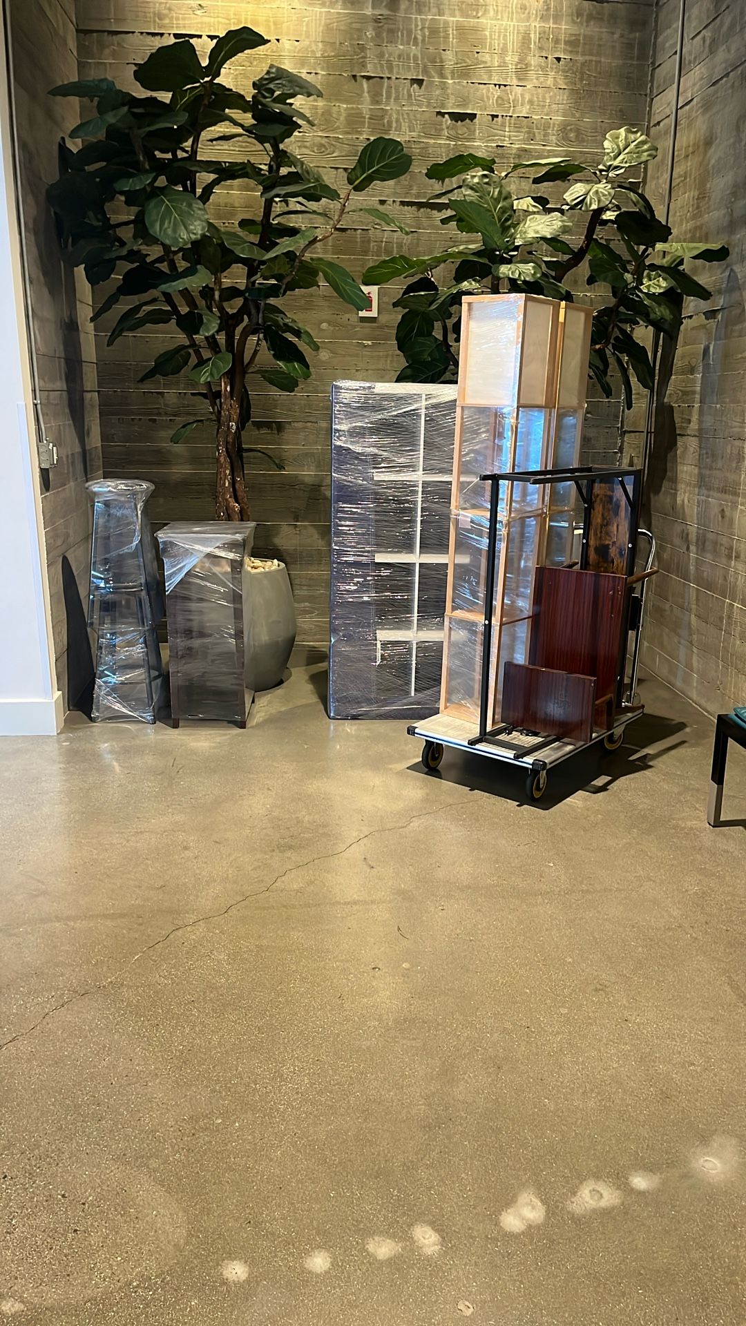 Free Lamps, Entryway Console With Plug, End Tables, Bookcase