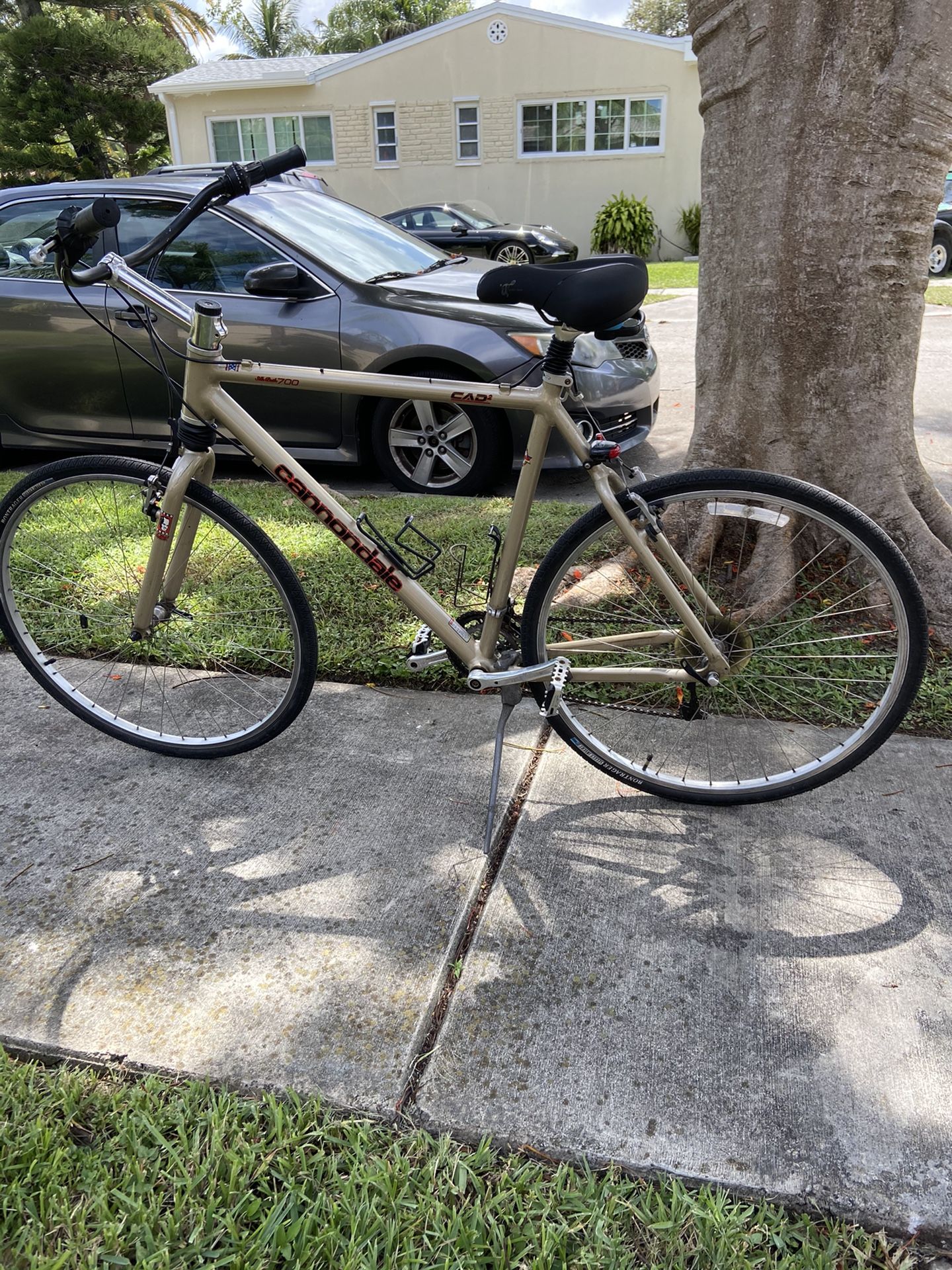 29" Cannondale Bike update $200