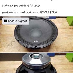 One New Massive Audio 12" Voice Speaker