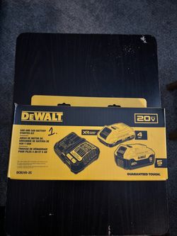 Dewalt Charging Kit (2 Batteries included)