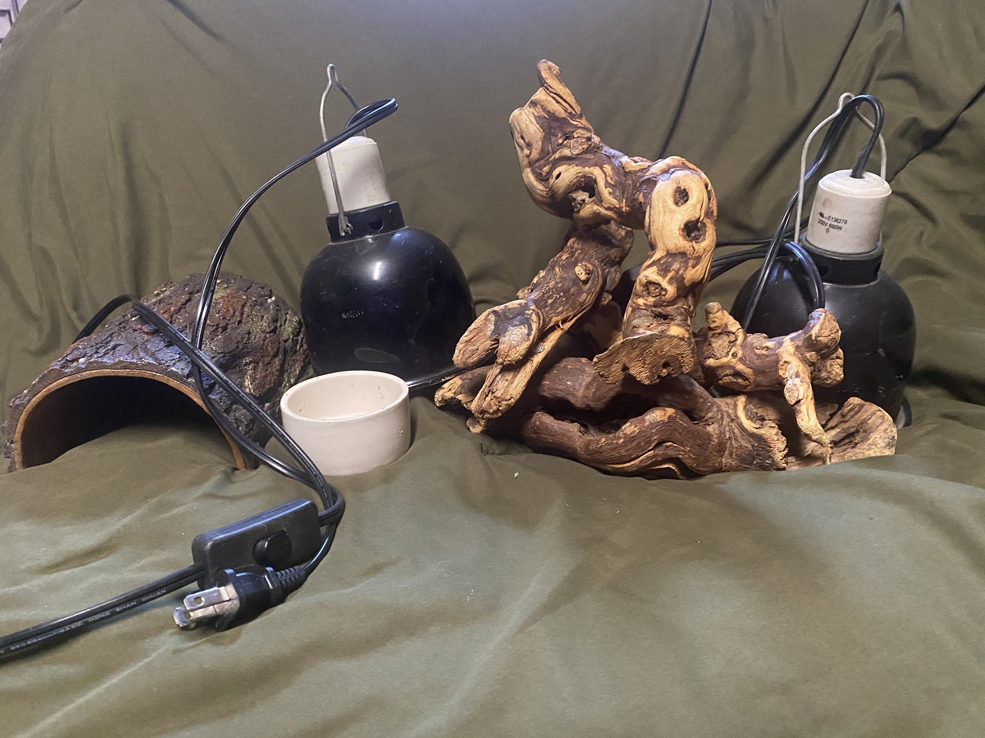 Reptiles Accessories