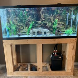 55 Gallon Aquarium Fluval Filter