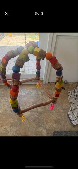 Large dragon wood bird swing