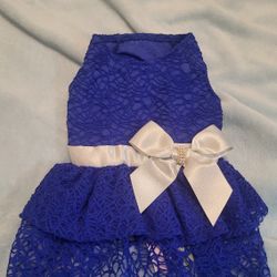 Dog Dress in Royal Blue, Small