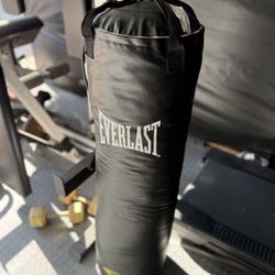 Everlast Punching Bag