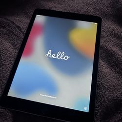 iPad Air 2 Wi-Fi +Cellular 