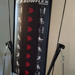 Bowflex Pr 3000 For In Tampa Fl