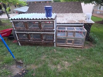 Quail cages