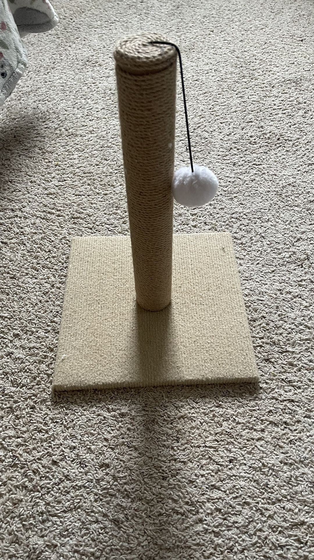 cat toy