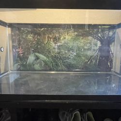 Reptile Tank + Hides/Clutter