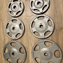 Hampton Olympic Weight Plates Full Set 45s new The Rest In New Condition (reconditioned) 245 lbs