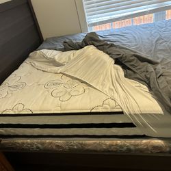 Ashley Plush Mattress And Box Spring 