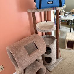 Cat Towers and Small Pet Carrier