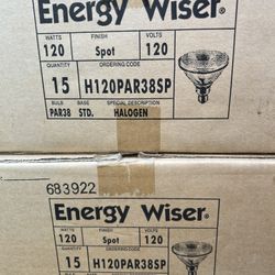 120 Watt Halogen Bulbs