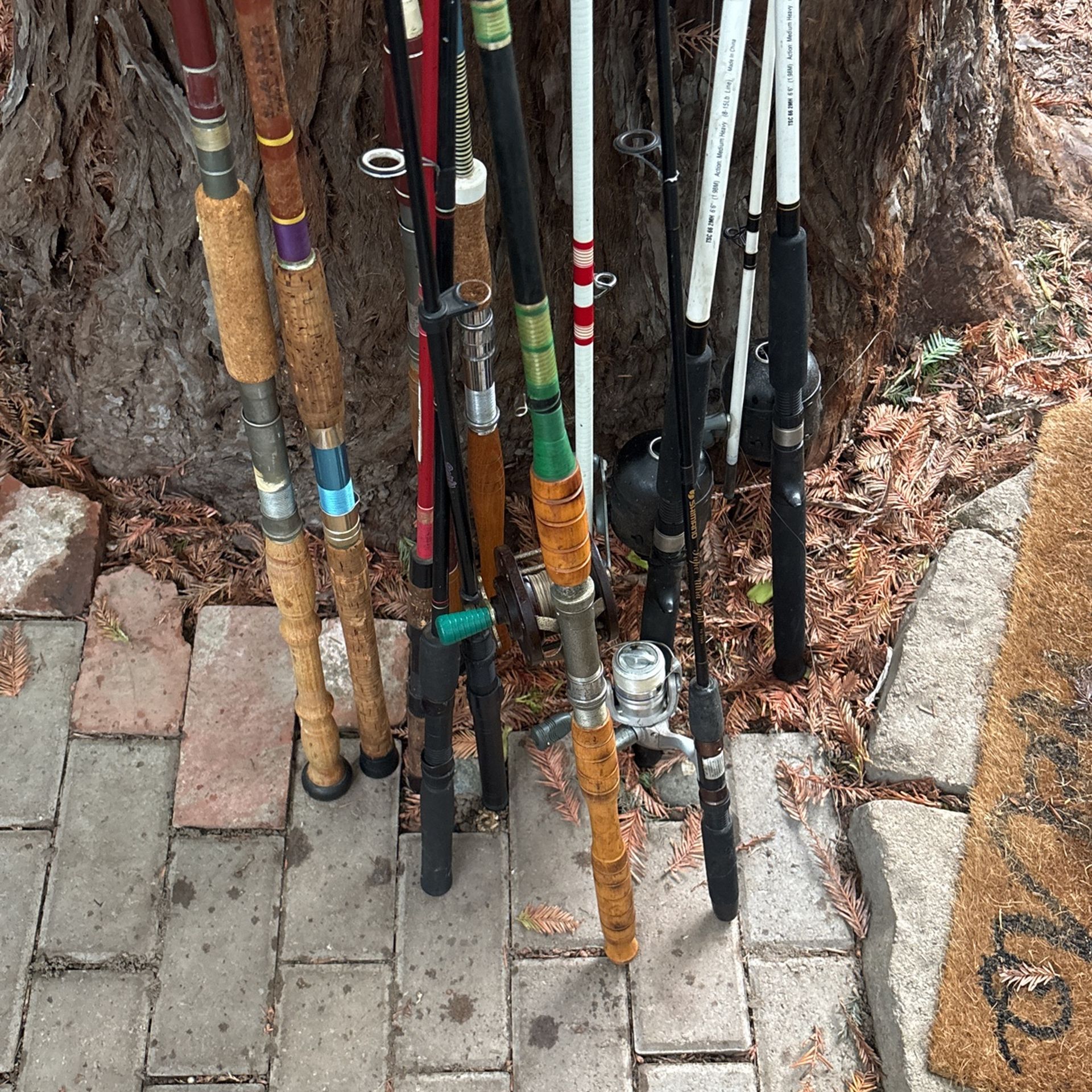 Fishing Poles Surf River Rods Reel