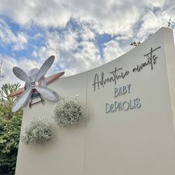 Airplane Decorations
