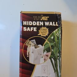 Hidden wall Safe