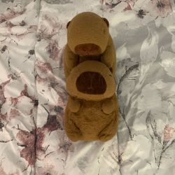 Buy The Capybara Family  And Get A Mystery Free Plush 