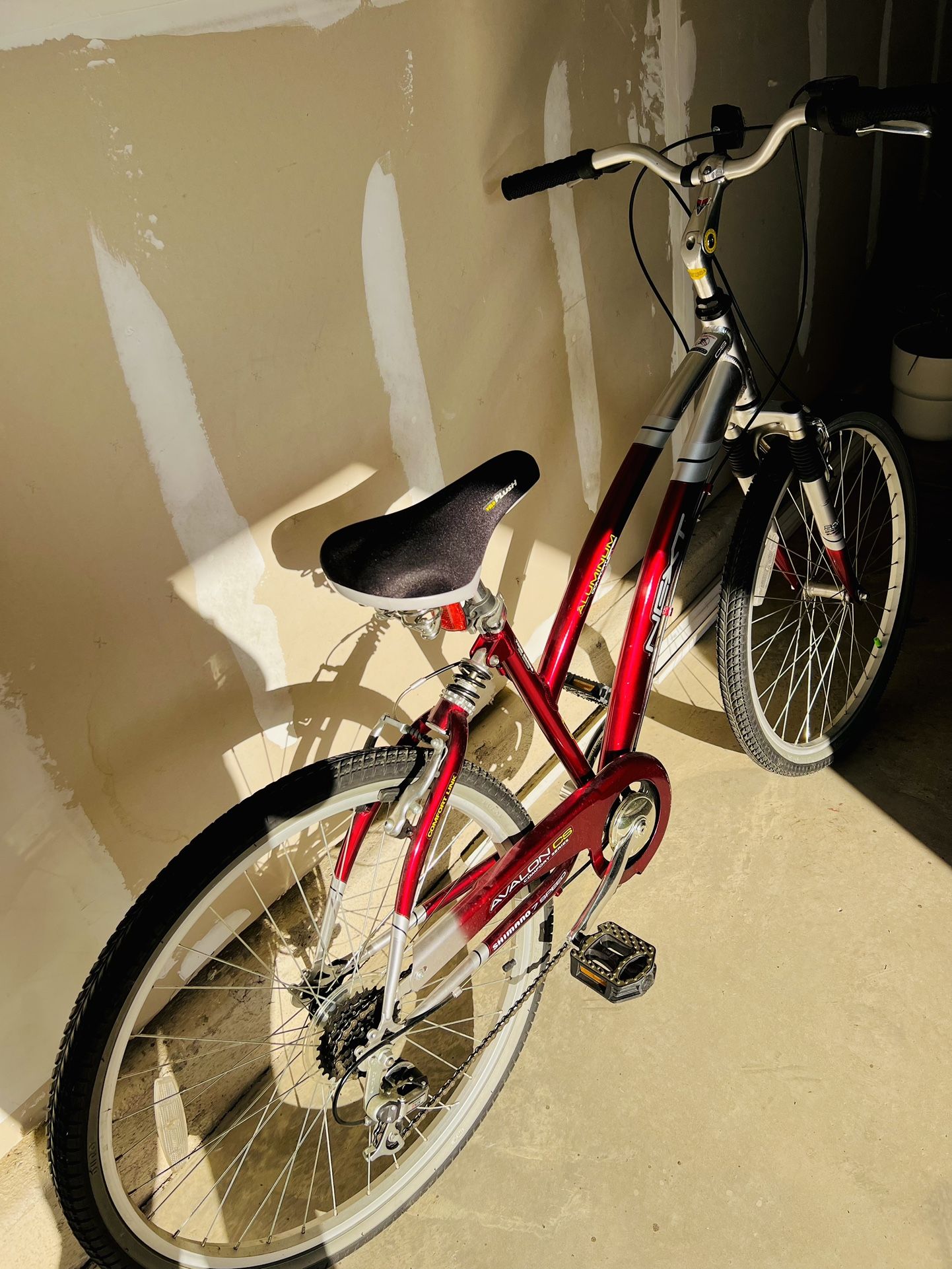 Adult Bicycle 