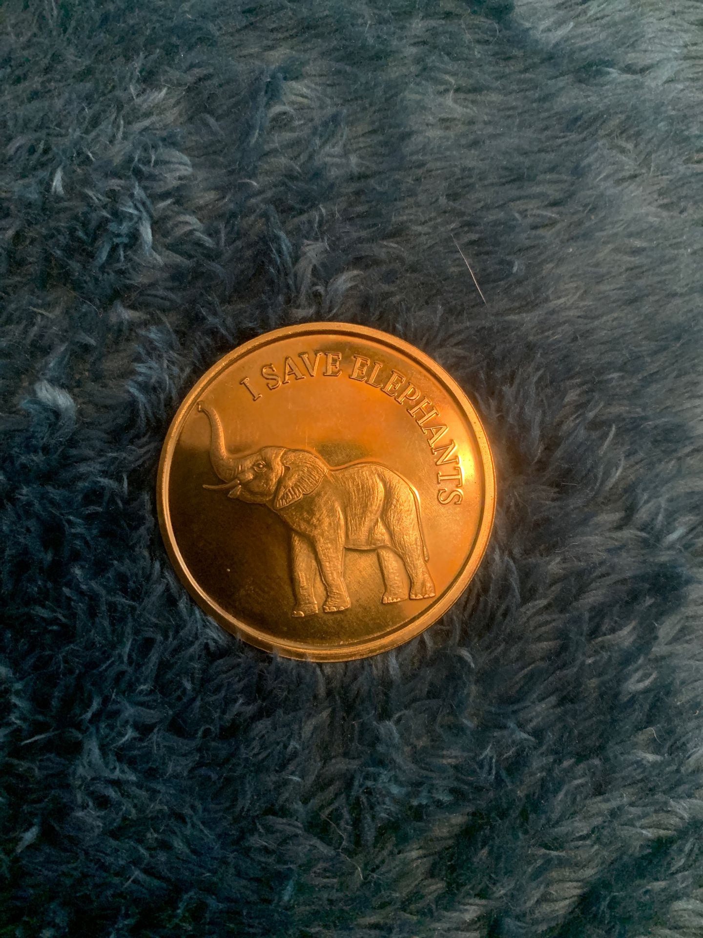 ICCF coin 🐘