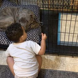 Kennel Playpen Waterer
