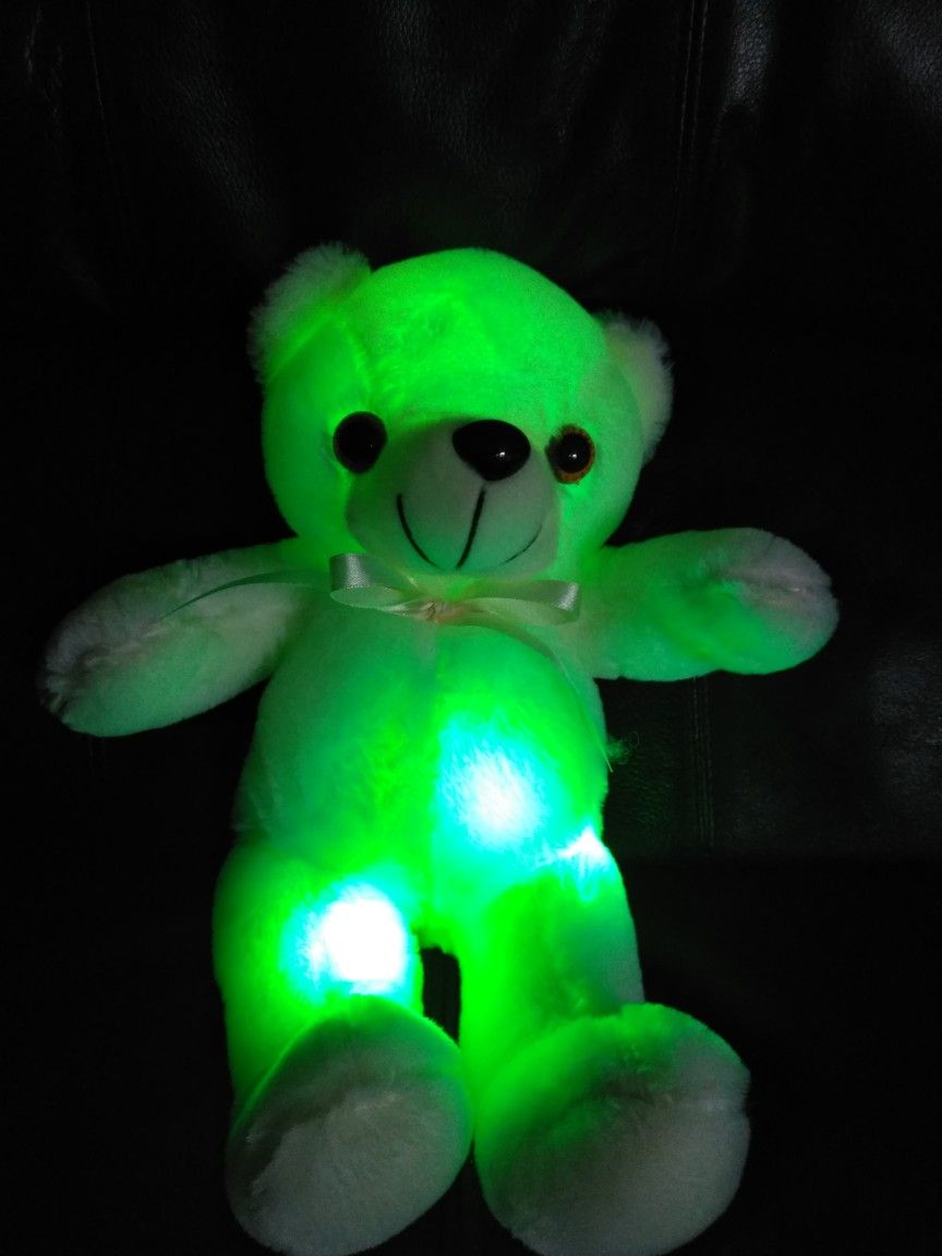 Led teddy bear