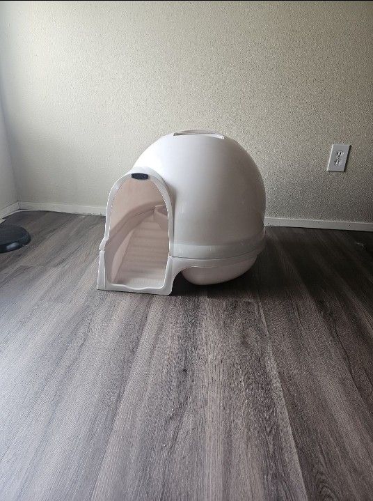 Kitty Box