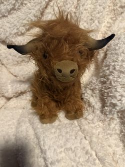 Kids Plush Toys 