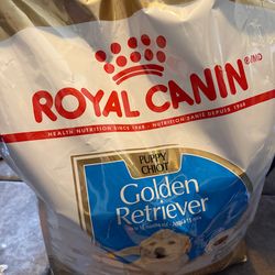 Puppy food golden retriever