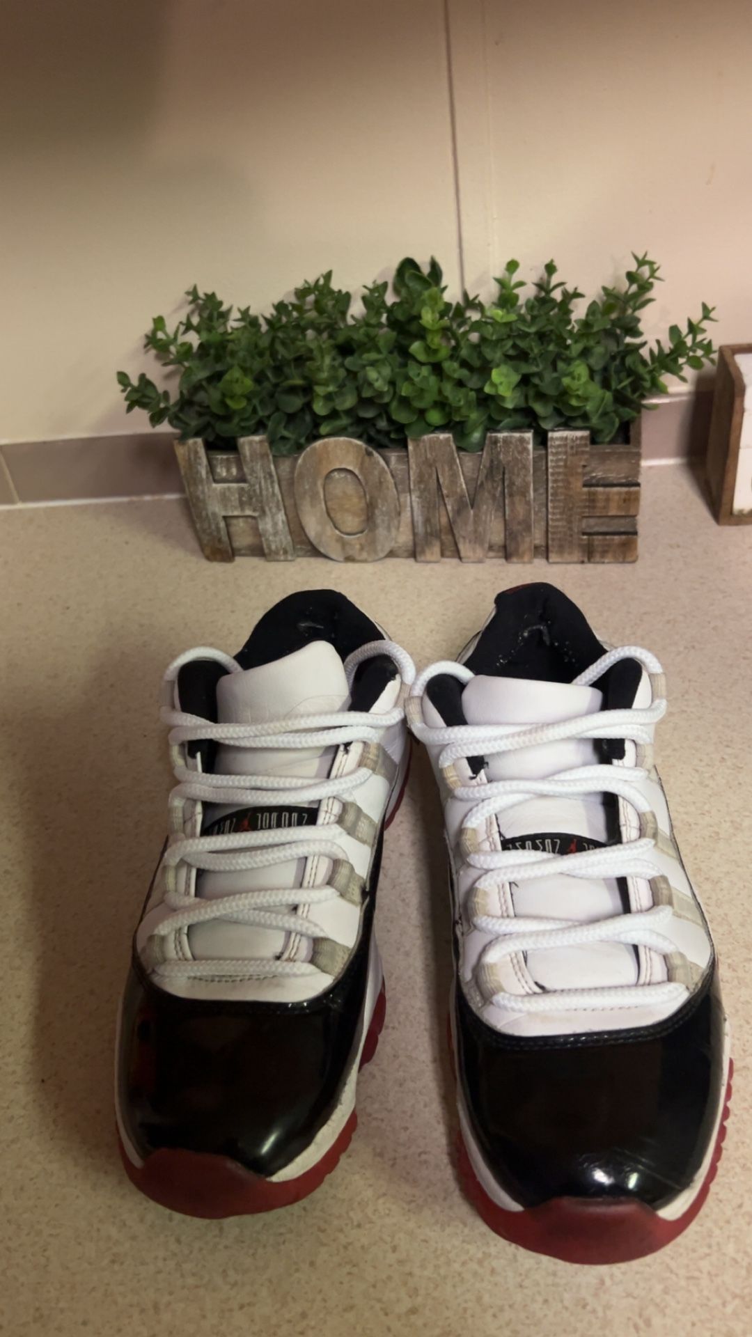 Jordan 11 retro concords