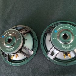 12" subwoofer Goldwood sound inc.