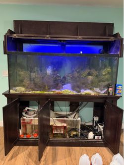 Aquarium / no fish included